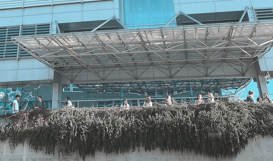 Platforma Ambassador